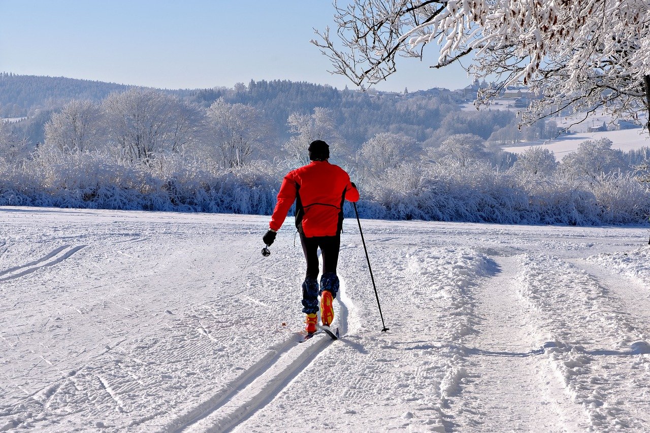 man, cross country skiing, snow-9177485.jpg